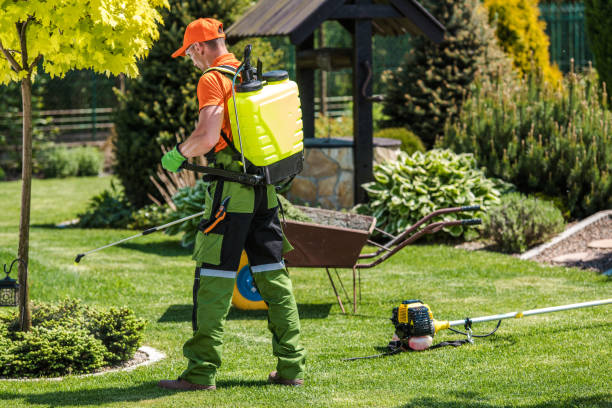 Professional Pest Control in Tanglewilde, WA